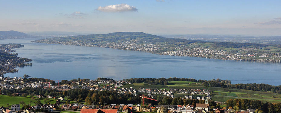 Zuerichsee-Panorama